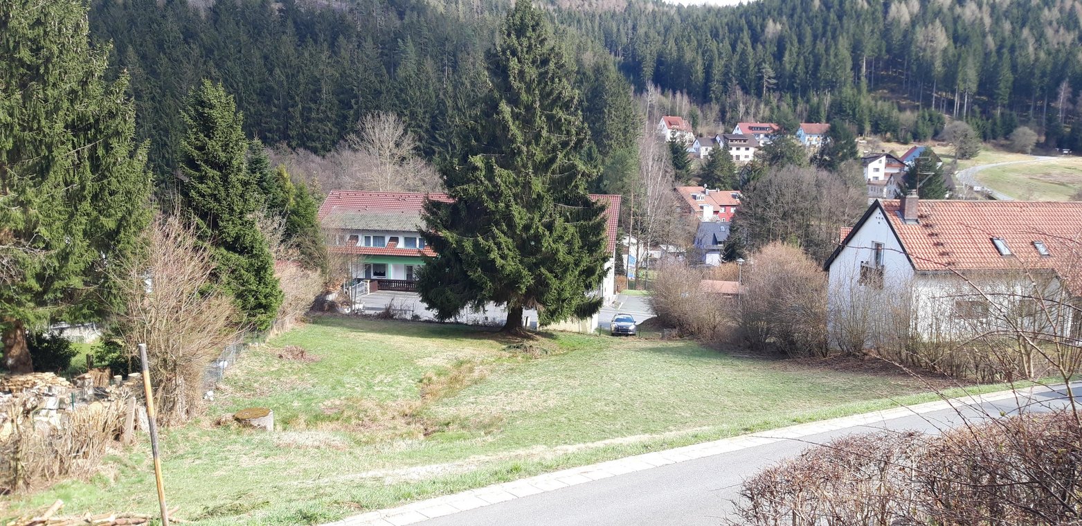 Singlebörse freiberg