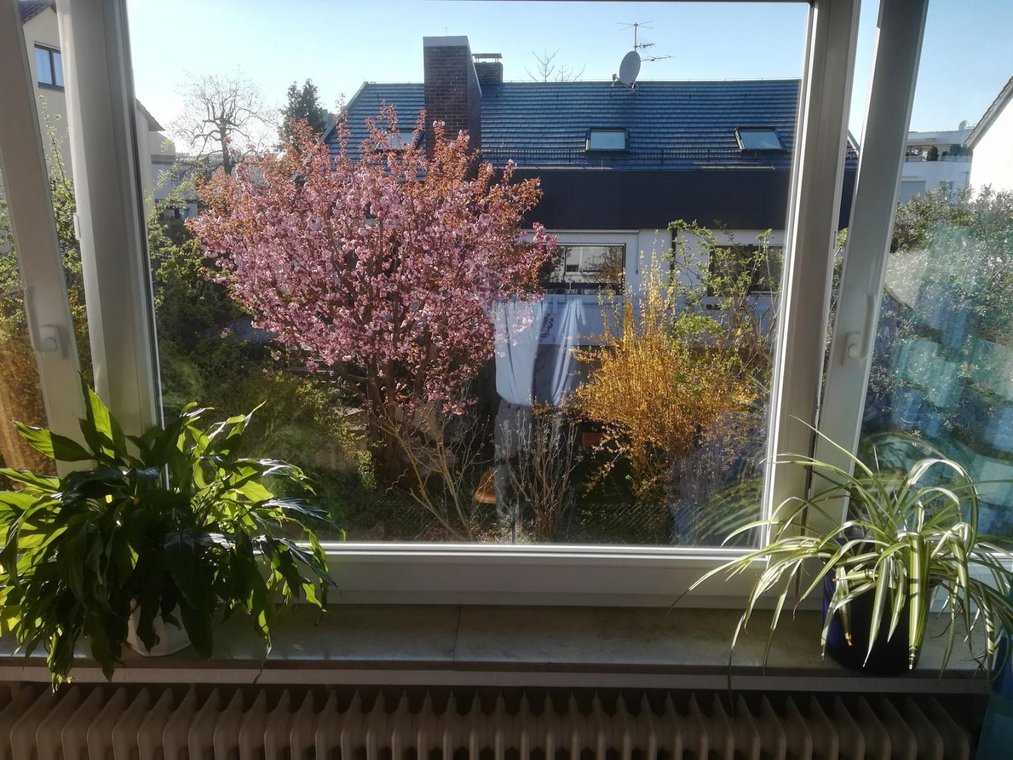 Sie sucht ihn s-bahn stuttgart