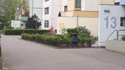 Single wohnungen mainz