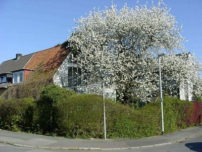 Günstige Wohnung mieten in 30890 Barsinghausen ...