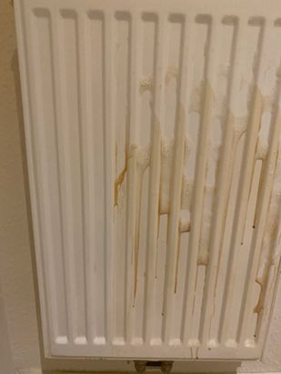 MMJ Glas- und Gebäudereinigung Manuel Seeliger