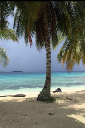 Panama Tours and Scuba SA