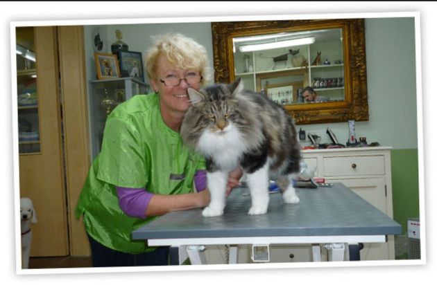 Hundesalon Pfiffikus