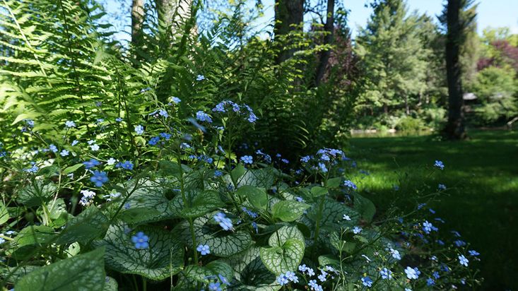 Gerd Heimrich Garten-Center