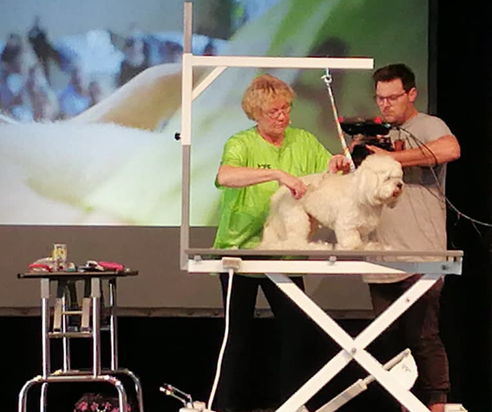 Hundesalon Pfiffikus