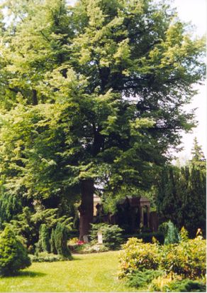 Bestattungsunternehmen Brigitte Schröter GmbH