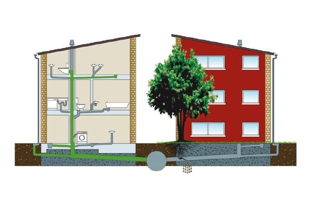 Colibri Rohrreinigung Knezevic - Weinstadt