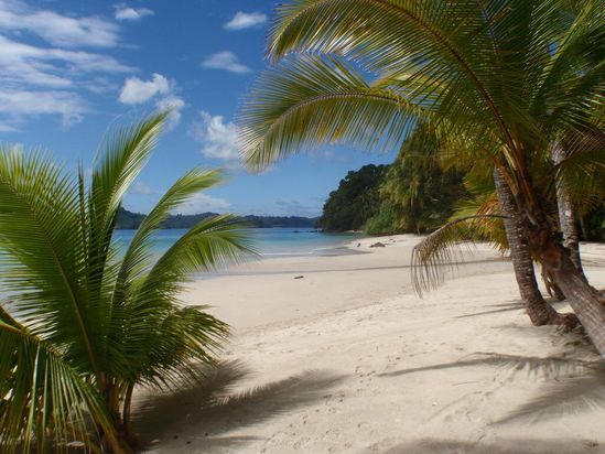 Panama Tours and Scuba SA