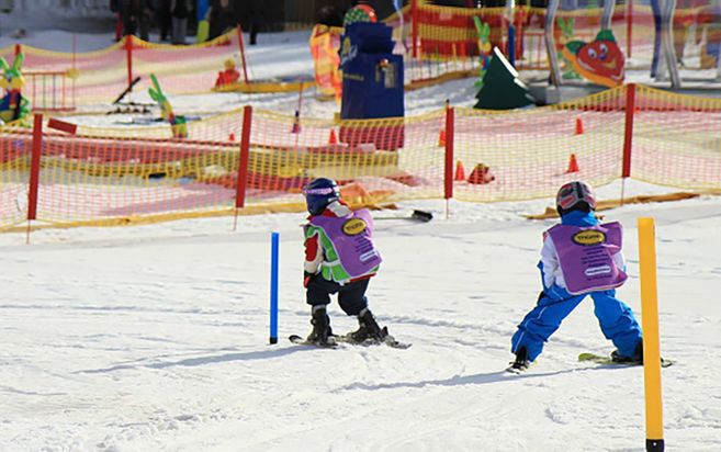 Wintersportschule Thoma | Feldberg