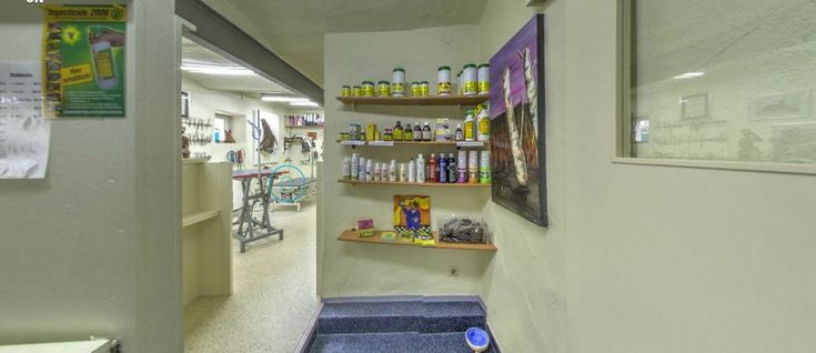 Hundesalon Pfiffikus