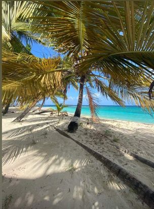 Panama Tours and Scuba SA