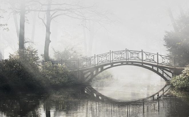 Bestattungsunternehmen Brigitte Schröter GmbH