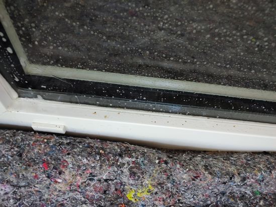 Reinheit & Sauberkeit GmbH Gebäudereinigungsservice Reinigungsunternehmen