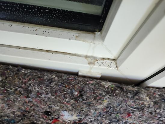 Reinheit & Sauberkeit GmbH Gebäudereinigungsservice Reinigungsunternehmen