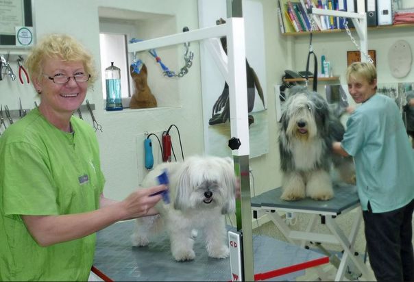 Hundesalon Pfiffikus