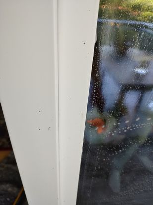 Reinheit & Sauberkeit GmbH Gebäudereinigungsservice Reinigungsunternehmen