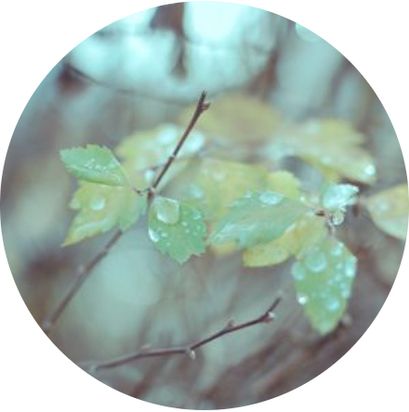 Bestattung Schmid | Zeit für den Abschied