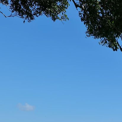 Panama Tours and Scuba SA