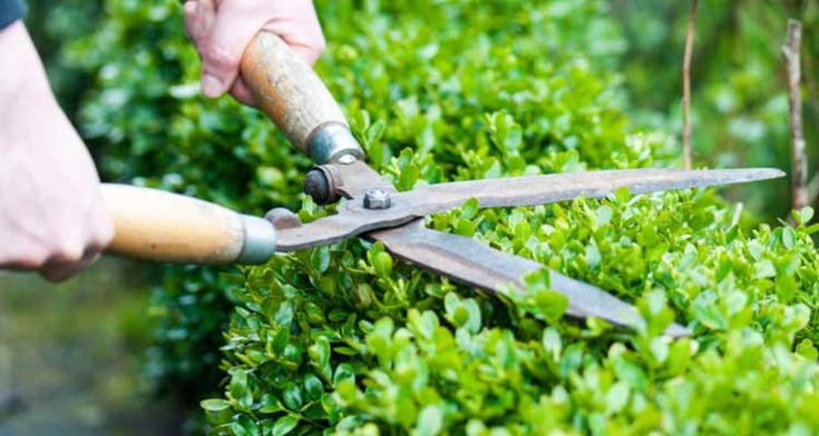 Gerd Heimrich Garten-Center