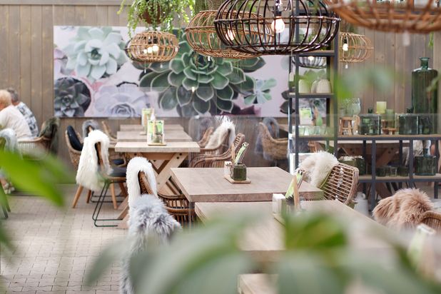 Blumen Risse Café Osnabrück