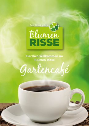 Blumen Risse Café Osnabrück