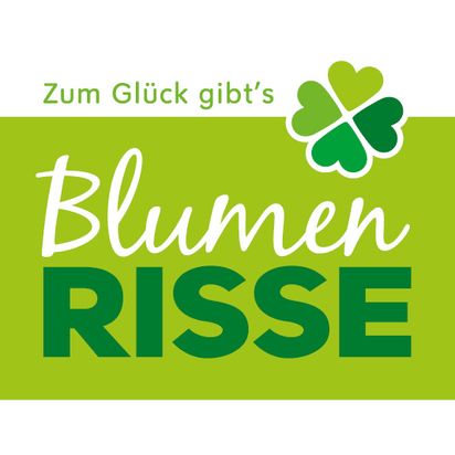 Blumen Risse Café Osnabrück