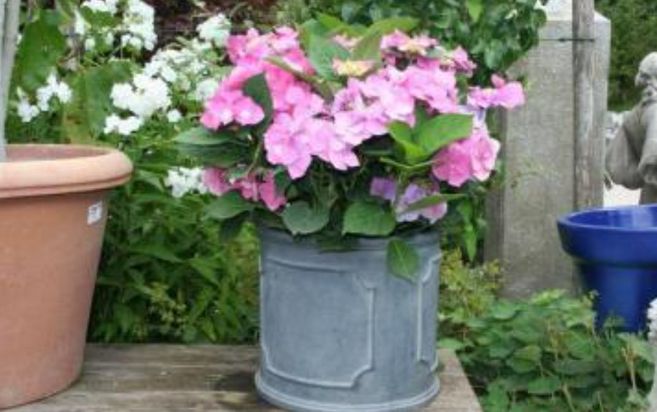 Enzo Giardino | Gartengestaltung | München | Oberhaching