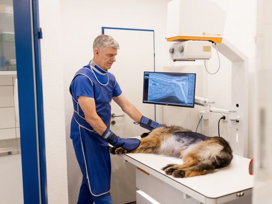 Tierarzt von Gierke Grefrath, Tierarztpraxis Dr. Klaus von Gierke