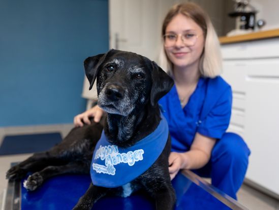 Tierarzt von Gierke Grefrath, Tierarztpraxis Dr. Klaus von Gierke