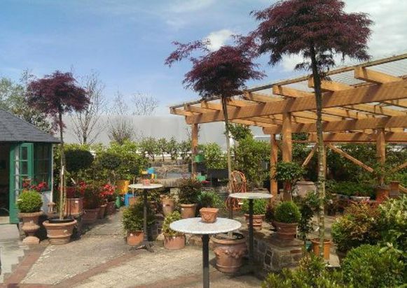 Enzo Giardino | Gartengestaltung | München | Oberhaching