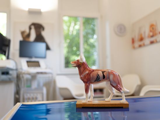 Tierarzt von Gierke Grefrath, Tierarztpraxis Dr. Klaus von Gierke