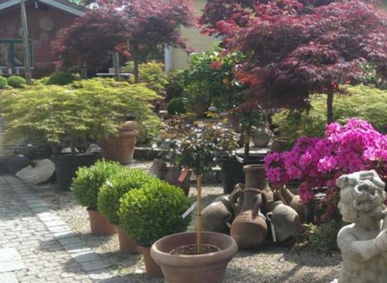 Enzo Giardino | Gartengestaltung | München | Oberhaching