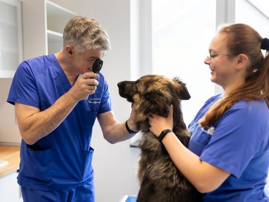 Tierarzt von Gierke Grefrath, Tierarztpraxis Dr. Klaus von Gierke