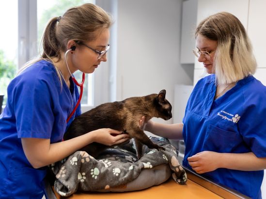 Tierarzt von Gierke Grefrath, Tierarztpraxis Dr. Klaus von Gierke