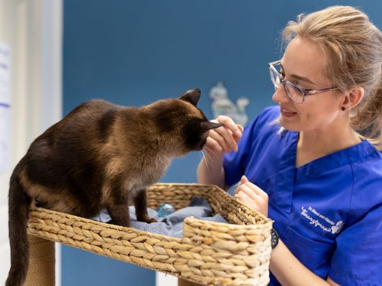 Tierarzt von Gierke Grefrath, Tierarztpraxis Dr. Klaus von Gierke