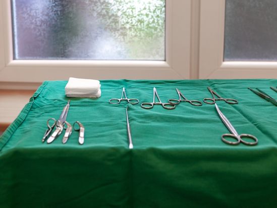 Tierarzt von Gierke Grefrath, Tierarztpraxis Dr. Klaus von Gierke