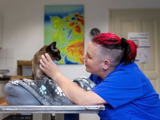 Tierarzt von Gierke Grefrath, Tierarztpraxis Dr. Klaus von Gierke