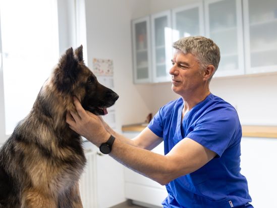 Tierarzt von Gierke Grefrath, Tierarztpraxis Dr. Klaus von Gierke