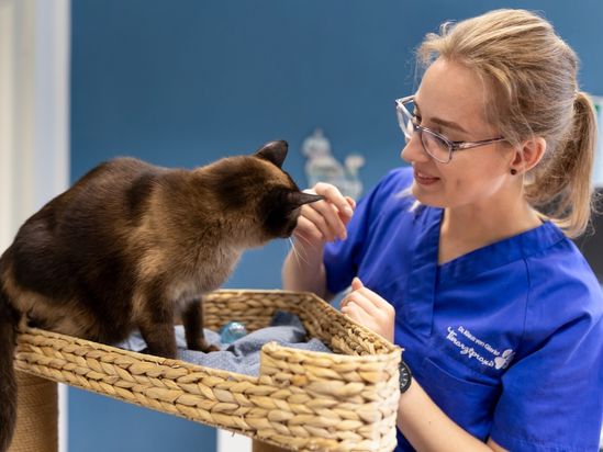 Tierarzt von Gierke Grefrath, Tierarztpraxis Dr. Klaus von Gierke