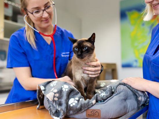 Tierarzt von Gierke Grefrath, Tierarztpraxis Dr. Klaus von Gierke