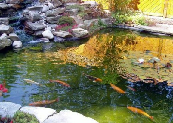 Enzo Giardino | Gartengestaltung | München | Oberhaching