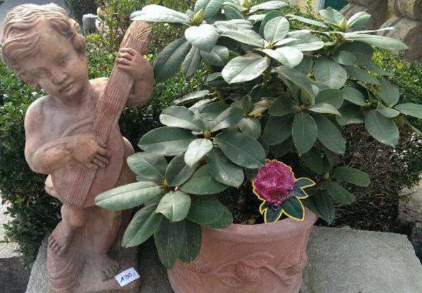 Enzo Giardino | Gartengestaltung | München | Oberhaching