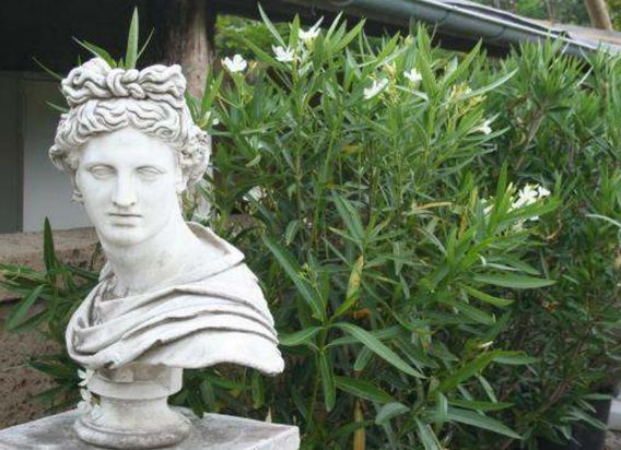 Enzo Giardino | Gartengestaltung | München | Oberhaching