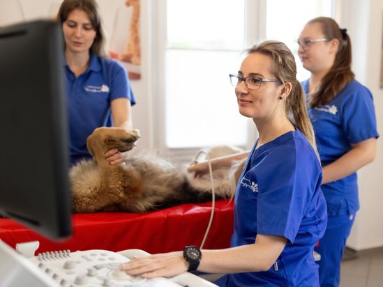 Tierarzt von Gierke Grefrath, Tierarztpraxis Dr. Klaus von Gierke