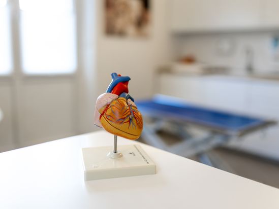 Tierarzt von Gierke Grefrath, Tierarztpraxis Dr. Klaus von Gierke