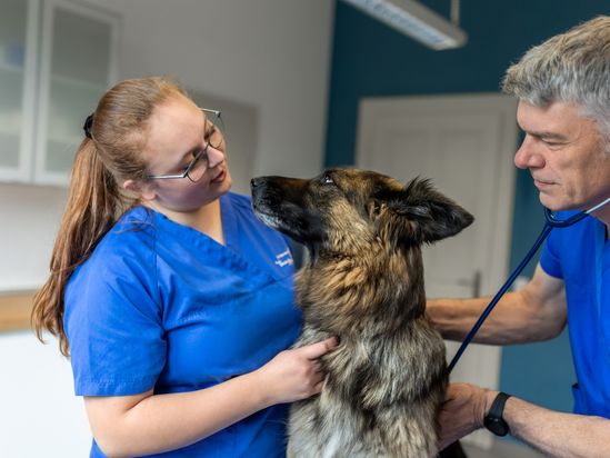 Tierarzt von Gierke Grefrath, Tierarztpraxis Dr. Klaus von Gierke