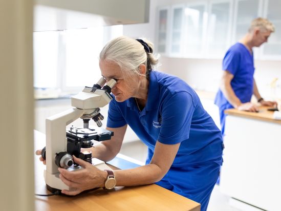 Tierarzt von Gierke Grefrath, Tierarztpraxis Dr. Klaus von Gierke