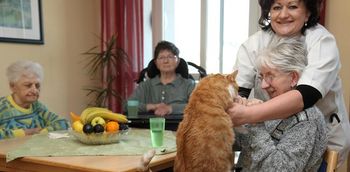 Phönix Senioren- und Pflegezentrum Haus Mitterteich