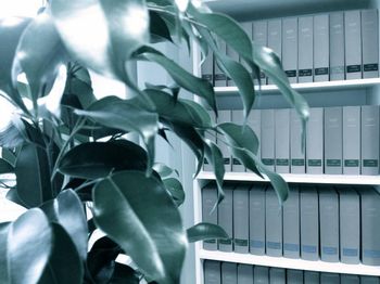 Rechtsanwaltskanzlei SIEGEL