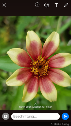 Heilpraktikerin für Psychotherapie